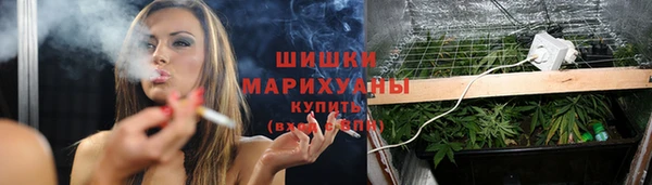 индика Балабаново