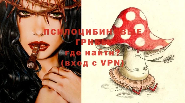 дурь Балахна