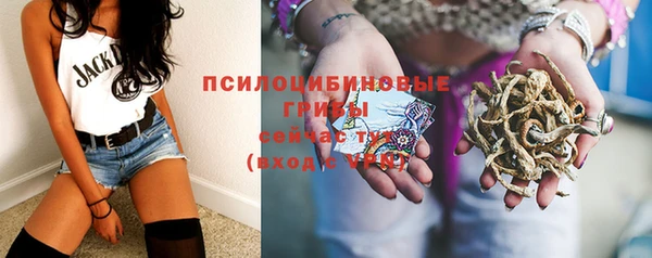 индика Балабаново