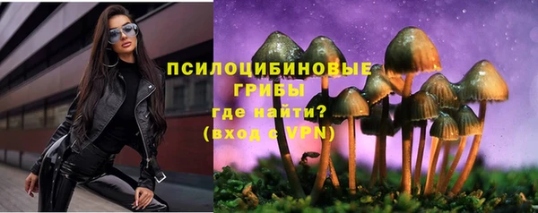 индика Балабаново