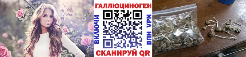 Псилоцибиновые грибы ЛСД  Купить  Тутаев 